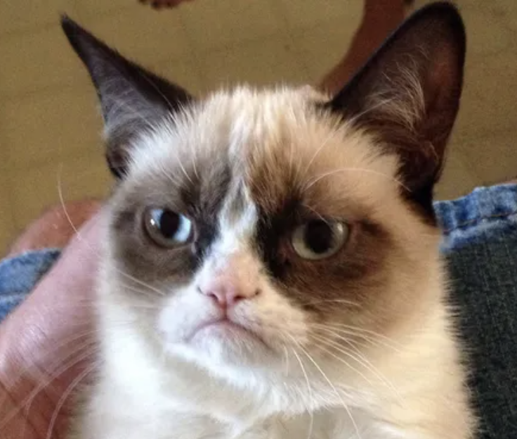 Colorado GOP Infighting Escalates to Violent Threats